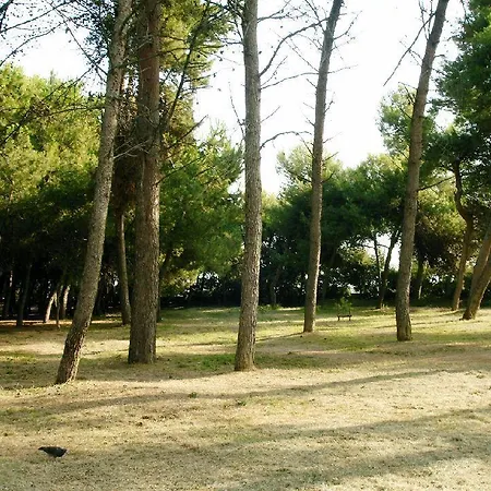 Mare E Pineta Montesilvano Marina